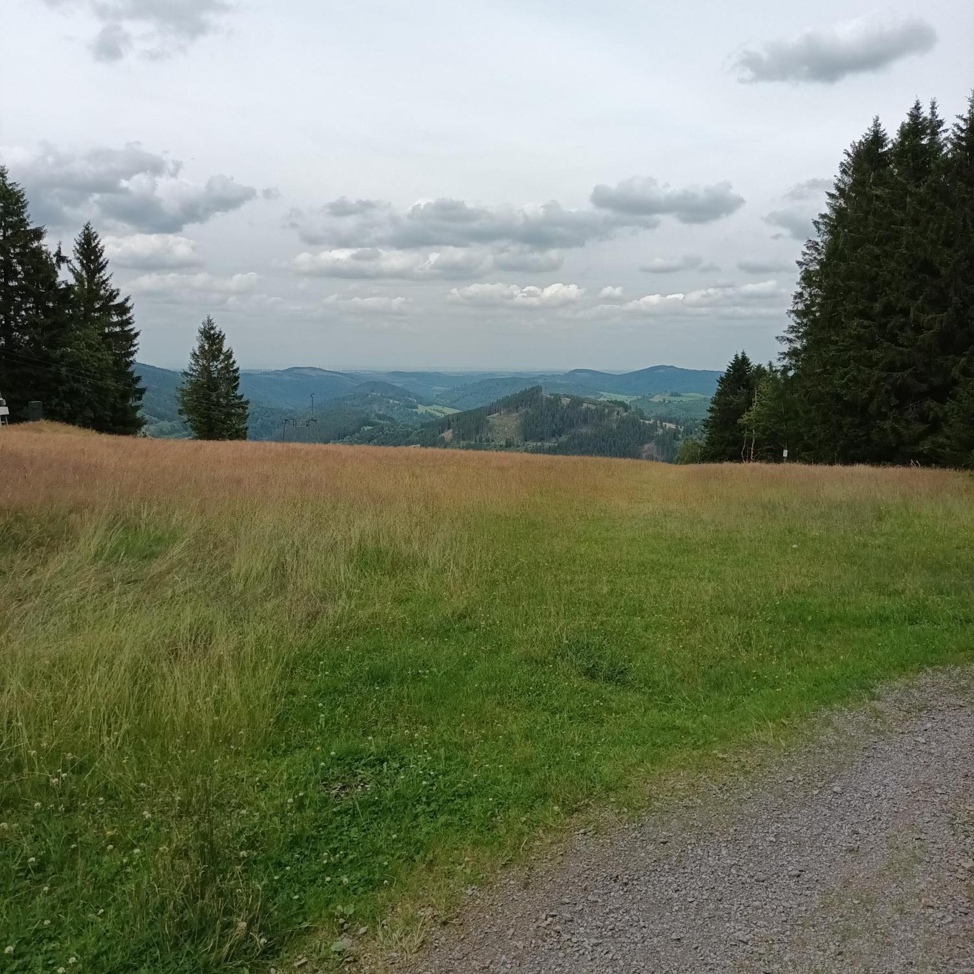 Ferienhaus Usseln Виллинген Экстерьер фото